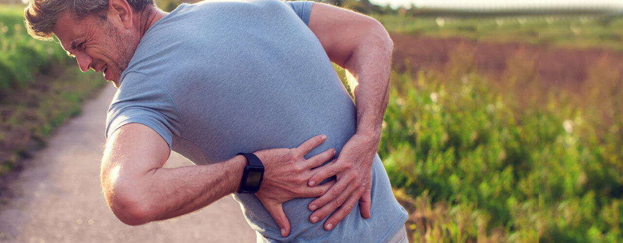 back pain health point physical therapy Back Pain and Sciatica